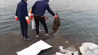 बड़वाह: बड़वाह: नर्मदा तट पर श्रीराम भक्त प्रभातफेरी मंडल का ग्यारहवें माह में स्वच्छता अभियान