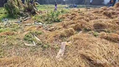 চতিয়াৰ ৰহধৰ গাঁৱত নিশা বন্যহস্তীৰ উপদ্ৰৱ, ভুক্তভোগীৰ প্ৰতিক্ৰিয়া