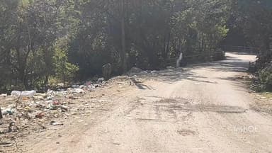 महू: पासीपुर रोड पर कचरा खाने से गाय की मौत, रहवासियों में आक्रोश