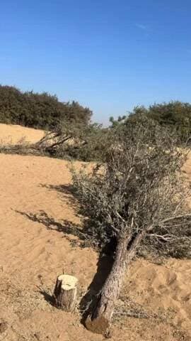 बीकानेर: सड़क हादसे में मृत डॉक्टर के परिजनों को कोर्ट ने 90 लाख से ज्यादा मुआवजा देने का सुनाया फैसला