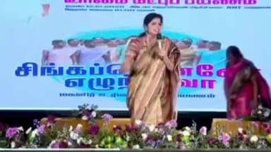 புவனகிரி: சேத்தியாத்தோப்பில் பாமக சார்பில் பரப்புரை கூட்டம்