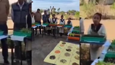 भीकनगांव: कुकडोल में बैगलेस डे पर अनोखा कृषि प्रयोग: छात्रों ने 28 राज्यों की 45 फसलों के बीज उगाकर दिखाए