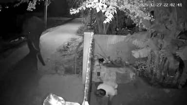 கோவை வடக்கு: பன்னிமடை பகுதியில் நாய்கள் குரைத்ததால் வெளியில் வந்தவரை நெருங்கி வந்த காட்டு யானை, நூலிழையில் தப்பிய நபரின் சிசிடிவி காட்சிகள்