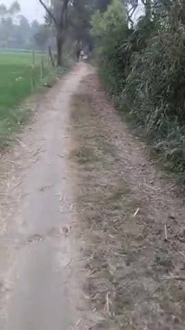 ग्राम पूरे संगम से maizapur रेलवे स्टेशन जाने के लिए एक मात्र रास्ता इस रस्ते पे कमसेकम 2 हजार यात्राओं का आवागमन होता ह