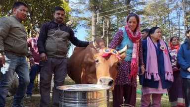 चम्पावत: पशुपालन विभाग चंपावत ने ग्राम पंचायत सुई पऊ के चंनकांडे गांव में पशु प्रदर्शनी का आयोजन किया