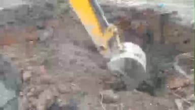 दरभंगा: राज परिसर में तालाब बचाओ अभियान समिति ने अग्निशमन कार्यालय के पास एक पेड़ को पुनर्जीवित किया