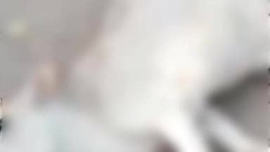 सिंगरौली: लक्ष्मी मार्केट जयंत आवासीय परिसर में बोलेरो बाइक और स्कूटी से टकराई, टक्कर से गाय की मौत