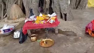 ज़ीरादेई: जिरादेई के गोठी गांव में पीपल के वृक्ष के नीचे मिली चांदी की बुद्ध मूर्ति, महिलाओं ने की पूजा