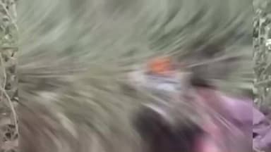 सोनकच्छ: गंधर्वपुरी माली की घाटी के पास अज्ञात वाहन ने दोपहिया वाहन चालक को टक्कर मारी, व्यक्ति की मौत, पुलिस जाँच में जुटी