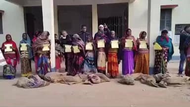 शेखपुरा: पशुपालन कार्यालय में 15 लाभुकों को मिला सूअर का बच्चा, सरकार दे रही 90% अनुदान, इंश्योरेंस भी