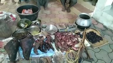 बजाग: जगतपुर जंगल से वन विभाग करंजिया की टीम ने कच्चे और पके मांस के साथ आठ शिकारियों को किया गिरफ्तार