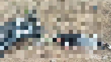 जावरा: महुनीमच हाईवे पर होटल के पास ग्राम ढौढर में सड़क हादसा, अज्ञात बाइक चालक की टक्कर से मौत