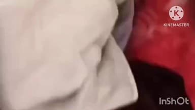 वार्ड क्रमांक 37, टिकुरिया टोला में अज्ञात चोर नगदी, ड्रोन व वीडियो कैमरा ले उड़े