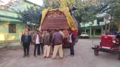 शाजापुर: शाजापुर में वन विभाग ने 80 हजार की अवैध लकड़ियां जब्त की, राजस्थान जा रहा आयशर वाहन पकड़ा