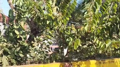 कोलारस: कोलारस कस्बे के बालक छात्रावास में देर रात तक तेज संगीत से नगरवासी परेशान