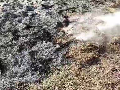 भातकुली: वायगाव येथील शेत शिवारात असलेल्या सोयाबीनच्या कुटार्याची गंजी अज्ञात व्यक्तीकडून पेटविली