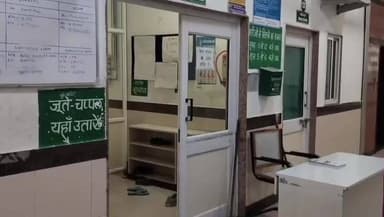 घट्टिया: ग्राम जेथल टेक में 4 वर्षीय बच्चे को कुत्ते ने काटा, ज़िला अस्पताल में भर्ती