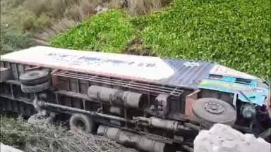 सिंघवारा: नीलगाय को बचाने में पार्सल वाहन 30 फीट गहरी खाई में गिरा, चालक और सह-चालक बाल-बाल बचे