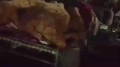 मुलताई: मुलताई नगर पालिका के कारनामों से झूला व्यापारी परेशान, खुले में सोने को मजबूर