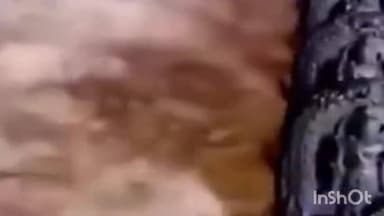 जवा: नगर परिषद डभौरा की गौशाला में गोबर से बन रही श्री राम जी की प्रतिमा, लोगों को मिल रहा रोजगार