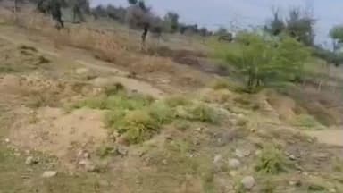 फूलिया कलां: अरवड़ बांध की नहर से सिंचाई ठप, किसानों की चेतावनी के बाद फूलियाकलां में पहुंचा पानी