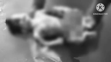 ఆర్మూర్: నవిపేటలో దారుణం, అప్పుడే పుట్టిన బిడ్డను గోదావరిలో పడేసిన తల్లి