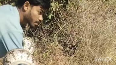 वाशिम: कारली येथे सर्पमित्रांनी अजगराला दिले जीवनदान