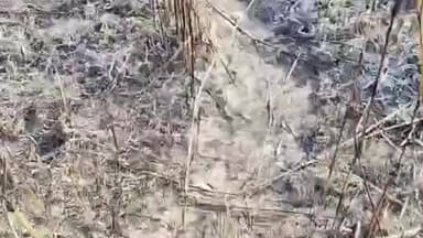 পশ্চিম যোৰহাট: যোৰহাটৰ ককিলামুখত প্ৰায় ৩,৯০০ বিঘাৰ যাদৱ পায়েঙৰ অৰণ্যত জুই লগাই দিলে দুৰ্বৃত্তই