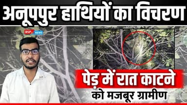 जैतहरी : 6 दिनों से निरंतर हाथियों का विचरण, पेड़ में रात काट रहे ग्रामीण । Anuppur news । bsp24news
#anuppur
#bsp24ne...