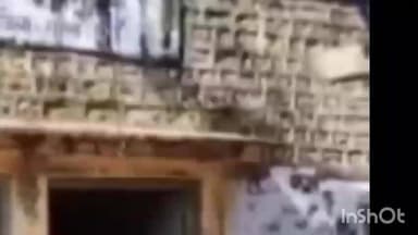 सबलगढ़: रामपुर कलां का जर्जर पशु अस्पताल, पशुपालकों और कर्मचारियों के लिए बना जानलेवा खतरा