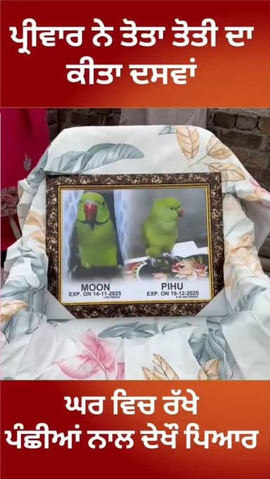 ਦੇਖੋ ਇੱਕ ਪਰਿਵਾਰ ਦਾ ਘਰ ਵਿਚ ਰੱਖੇ ਪੰਛੀਆਂ ਪ੍ਰਤੀ ਪਿਆਰ ਮਰਨ ਤੋਂ ਬਾਅਦ ਇਨਸਾਨਾਂ ਵਾਂਗੂ ਕੀਤਾ ਰੀਤੀ ਰਿਵਾਜ '''ਗੁਰਦਆਰਾ ਸਾਹਿਬ ਵਿੱਚ ਭੋਗ ਤੋ...