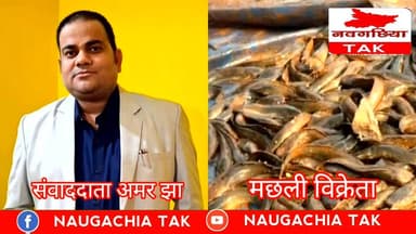 नवगछिया ज़ीरो माइल में प्रतिबंधित मांगूर मछली बेचने पर मछली विक्रेता से सीधी बातचीत अमर झा के साथ
#Vidhansabha #PublicS...