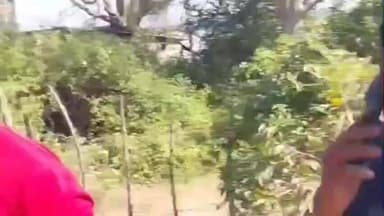 मंदसौर: जग्गाखेड़ी रोड पर मछली लेकर आ रहे अनवर से 9 लोगों ने की मारपीट, वीडियो वायरल, मामला दर्ज