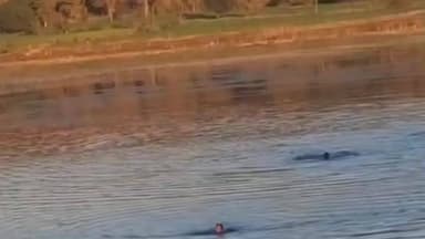 बासोदा: घटेरा: इंस्टाग्राम रील बनाते समय तालाब में डूबने से युवक की मौत