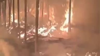 बैरिया: उतरी पटजीरवा पंचायत के वार्ड 6 में आग से तीन घर जलकर राख, 20 बकरियां झुलसी, ग्रामीणों में आक्रोश