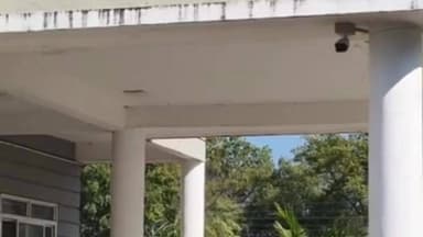 जावद: खेत में करंट लगने से 11 साल के मासूम कपिल की दर्दनाक मौत, बिजली विभाग की लापरवाही उजागर