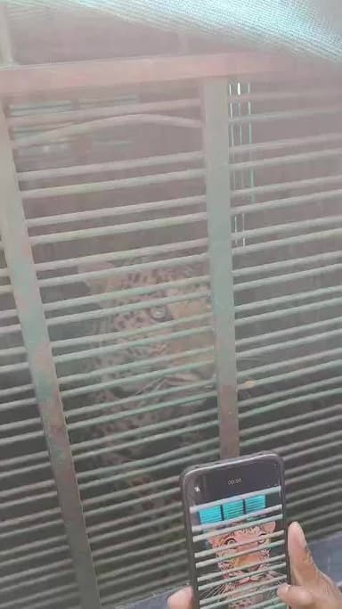 #लक्ष्मणगढ़ लक्ष्मणगढ़ के सिनवाली गांव के आस - पास मिले पैंथर के फूट मार्क्स .... वन विभाग में आम जन से सतर्क रहने की अप