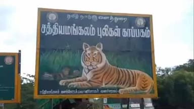 சத்தியமங்கலம்: புலிகள் காப்பகம் பகுதிகளில் வனவிலங்குகள் குறித்து கணக்கெடுப்பு நடைபெற்றது