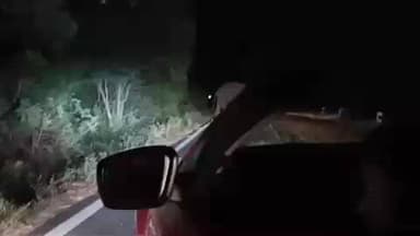 சத்தியமங்கலம்: பண்ணாரி மலைப்பாதையில் வாகனத்தை புட்பால் போல உதைக்க முயன்ற காட்டு யானை வீடியோ சமூக வலைத்தளங்களில் பெரும் பைரல்