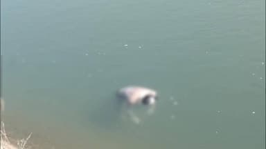 बड़वाह: बड़वाह: महेश्वर रोड स्थित ओंकारेश्वर नहर में मिला अज्ञात शव