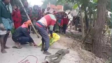 जोगापट्टी: मच्छरगांवा में 10 फीट लंबा अजगर मिलने से हड़कंप, ग्रामीणों में दहशत