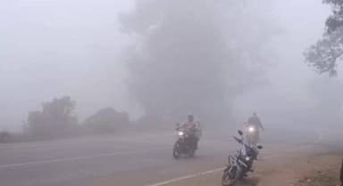 ढीमरखेड़ा: कोहरे का कहर: उमरियापान सहित आसपास के क्षेत्र शीतलहर की चपेट में, छाई सफेद धुंध की चादर