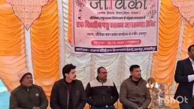 हसनपुर: मरांची उजागर पंचायत में पशु स्वास्थ्य एवं जागरूकता शिविर का आयोजन