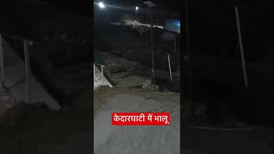 केदारघाटी में भालू #bear