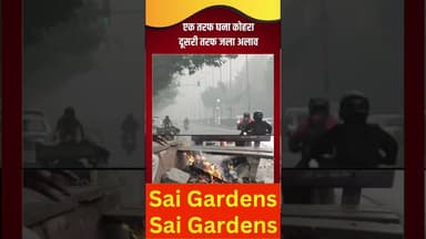 सर्दी का सितम | जानलेवा कोहरा,अलाव बना सहारा |