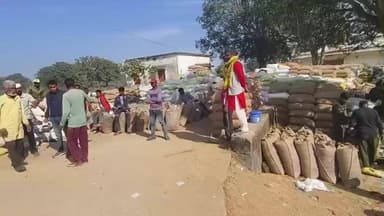 मझौली: मड़वास धान खरीदी केंद्र: समिति प्रबंधक ने आरोपों को बताया फर्जी, कहा- फर्जी किसानों ने दी जानकारी