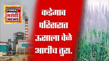 कडेगाव परिसरात ऊसाला वेळे आधीच तुरा.