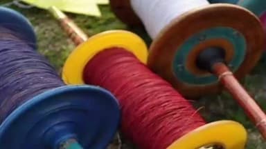 हरदा: हरदा कलेक्टर सिद्धार्थ जैन ने हरदा जिले में चाइनीस मांझे पर लगाया प्रतिबंध