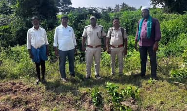 ಹನೂರು: ತೋಟದ ಮನೆಯಿಂದ ಸಾಕು ನಾಯಿಯನ್ನು ಎಳೆದೊಯ್ದ ಚಿರತೆ ಗಂಗ ದೊಡ್ಡಿ ಗ್ರಾಮದಲ್ಲಿ ಆತಂಕ