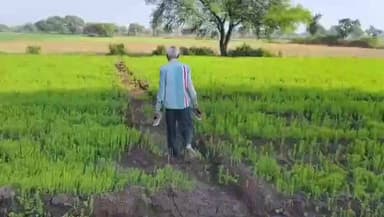 दलौदा: ग्राम करनाखेड़ी के किसान ने PM से लगाई गुहार, दबंगों ने खेत के रास्ते पर किया कब्जा, खेत पर जाने के लिए चाहिए हेलीकॉप्टर